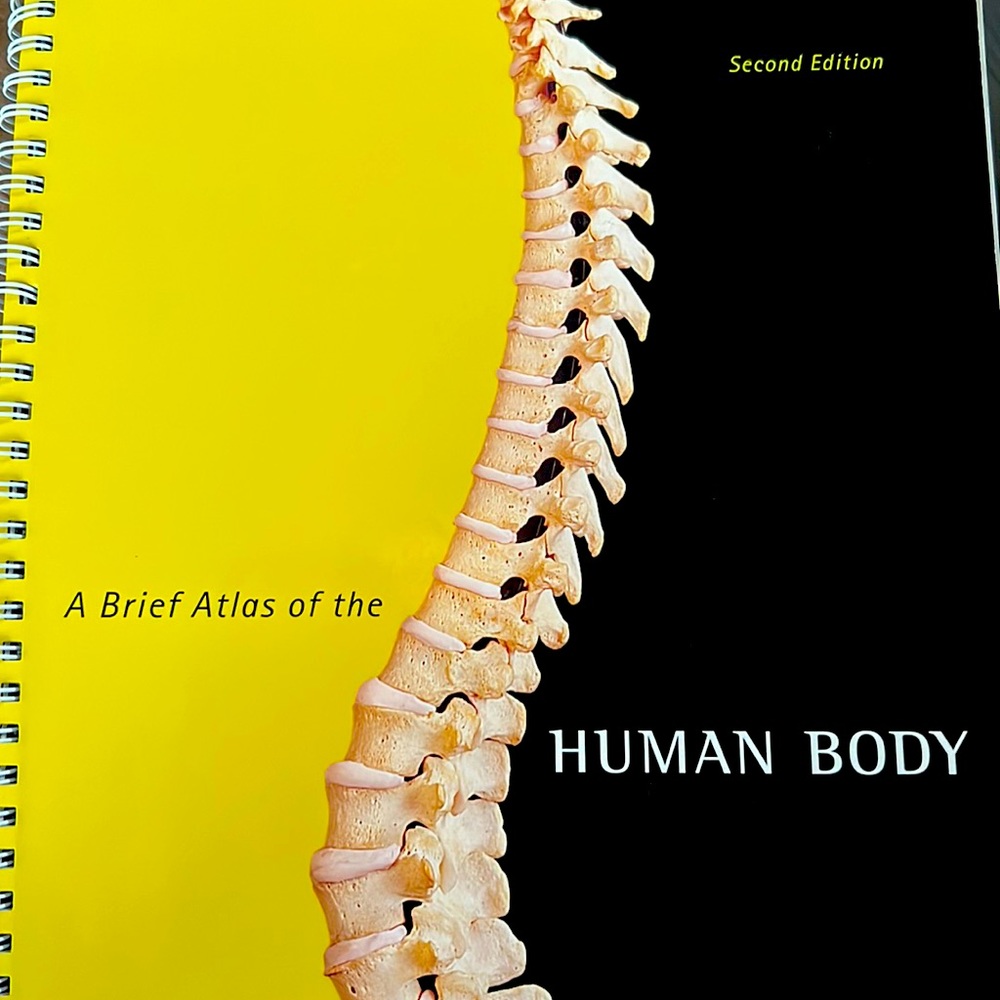 A brief atlas of the human body